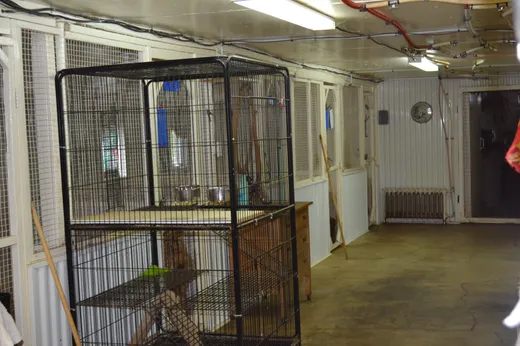 Propriété commerciale à vendre - 4925 Ch. Orr 4925, Cookshire-Eaton, J0B 1M0