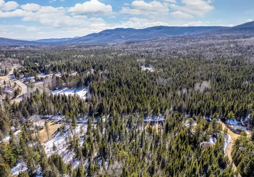 Propriété commerciale à vendre - 135 Ch. de Grand-Fonds, La Malbaie, G5A 1Z8