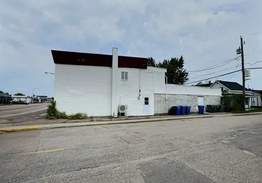 Propriété commerciale à vendre - 53 Rue De Quen, Fossambault-sur-le-Lac, G8L 4Z1