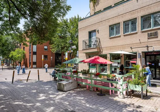 Propriété commerciale à vendre - 251 Av. Duluth E., Plateau Mont-Royal, H2W 1H7