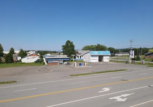 Propriété commerciale à vendre - 587 Route de l'Église, Saint-Jean-Port-Joli, G0R3G0