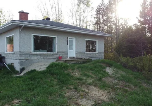 Ferme à vendre - 1572 Route Transcanadienne, Grand-Remous, J0W 1E0