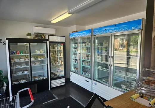 Commercial Property for Sale - 88 Rue St-Laurent, Saint-Eustache, J7P 5G1