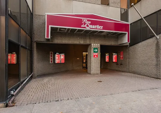 Propriété commerciale à vendre - 1111 Rue St-Urbain, Montréal (Centreville), H2Z 1Y6