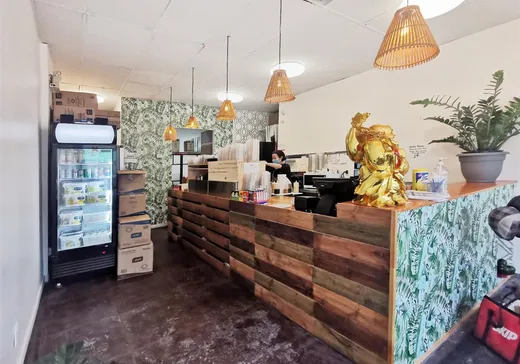 Propriété commerciale à vendre - 1672 Rue Bélanger, Montréal (Villeray), H2G 1B2