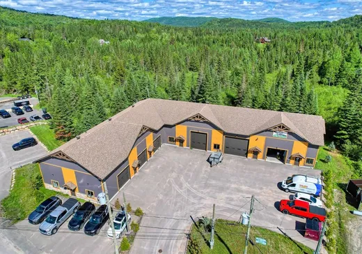 Condo Commercial à vendre - 1153 Rue des Entreprises, Sainte-Agathe-des-Monts, J8C2Z8