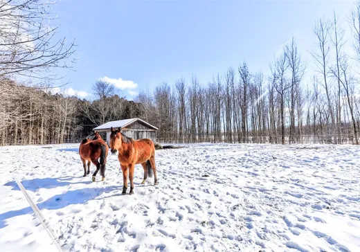 Farm for sale - 341Z Route du Long-Sault, Lachute, J0V1X0
