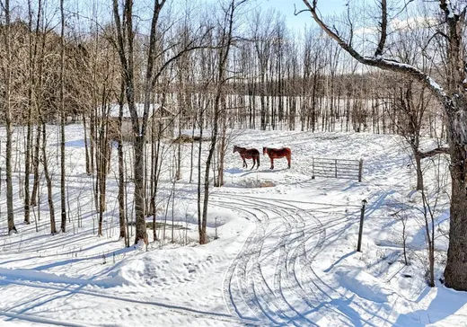 Ferme à vendre - 341Z Route du Long-Sault, Lachute, J0V 1X0