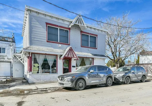 Commercial Property for sale - 8 Rue Ernest-Chalifoux, Sainte-Agathe-des-Monts, J8C2L1