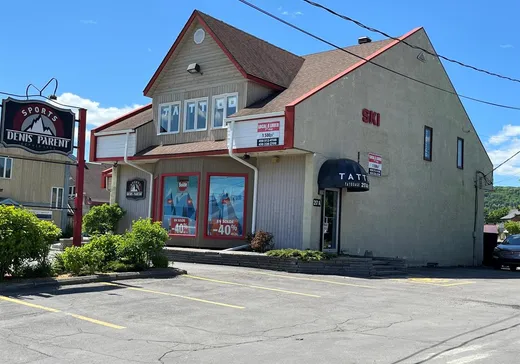 Propriété commerciale à vendre - 217 Ch. du Lac-Millette, Saint-Sauveur, J0R1R6