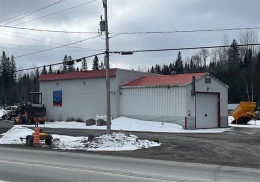 Propriété commerciale à vendre - 289 Route 117, Lac-Saguay, J0W1L0