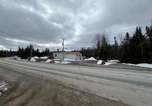 Commercial Property for Sale - 289 Route 117, Lac-Saguay, J0W 1L0