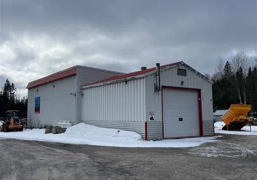 Commercial Property for Sale - 289 Route 117, Lac-Saguay, J0W 1L0