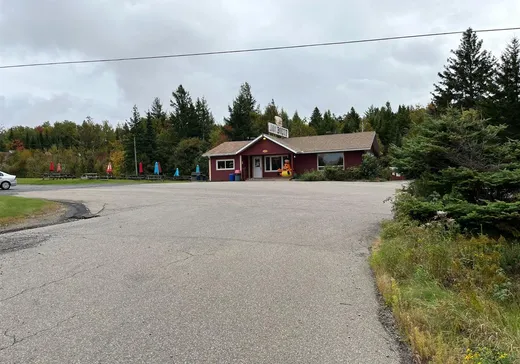 Commercial Property for Sale - 1176 Route 117, Saint-Faustin, J0T 1J3