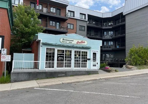 Propriété commerciale à vendre - 5 Rue Ste-Anne, Sainte-Agathe-des-Monts, J8C2L2