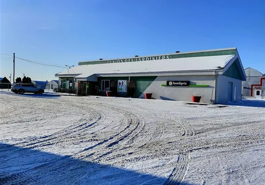 Propriété commerciale à vendre - 136 Rue du Seigneur-Côté, L'Isle-Verte, G0L 1K0