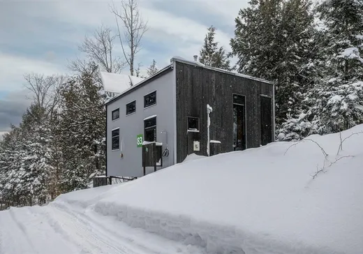 Propriété commerciale à vendre - 83Z Allée Verte, Eastman, J0E1P0