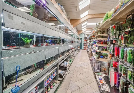 Propriété commerciale à vendre - 6364-6366 Rue St-Hubert, Montréal (Rosemont–La Petite-Patrie), H2S 2M2