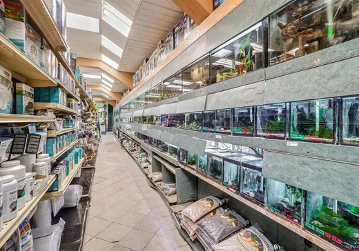 Propriété commerciale à vendre - 6364-6366 Rue St-Hubert, Montréal (Rosemont–La Petite-Patrie), H2S 2M2