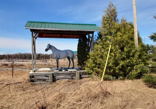 Ferme à vendre - 300Z Route Pronovost, Normandin, G8M3R6