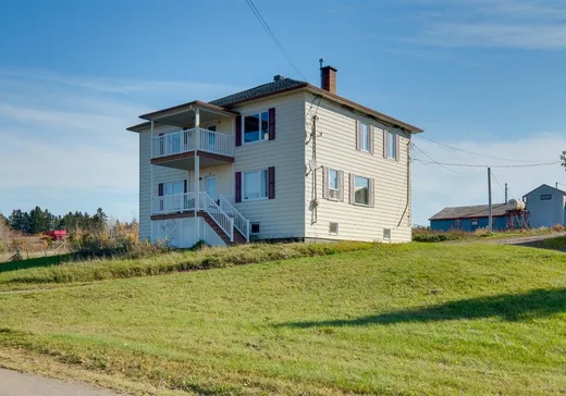 Farm for Sale - 96A 3e Rang E., Saint-Pierre-de-Lamy, G0L 4K0