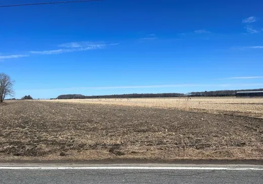 Ferme à vendre - 70 Rg Fleury, Saint-Jude, J0H1P0