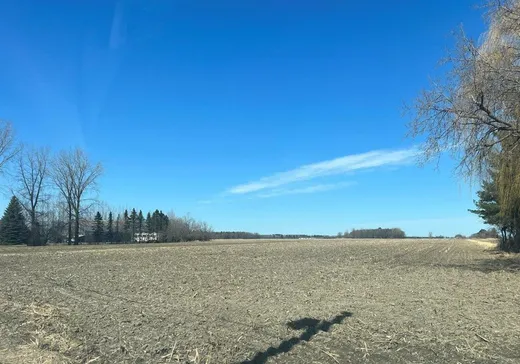 Ferme à vendre - 70 Rg Fleury, Saint-Jude, J0H 1P0