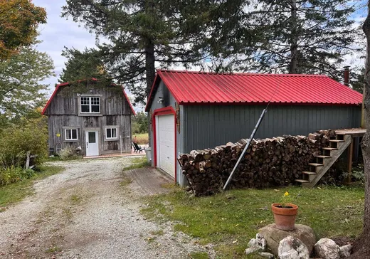 Ferme à vendre - 880Z Ch. Craig, Thetford Mines, G6G 0A1