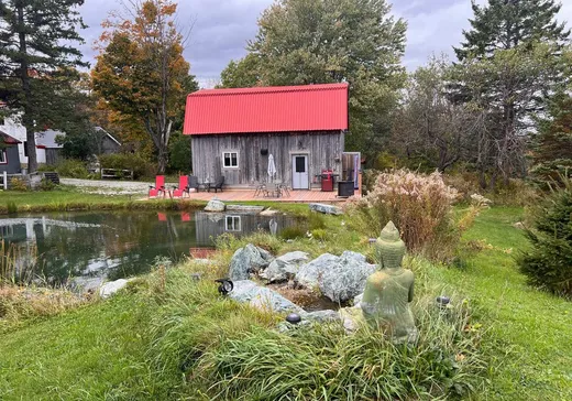 Ferme à vendre - 880Z Ch. Craig, Thetford Mines, G6G 0A1