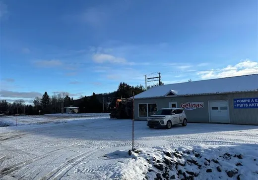 Propriété commerciale à vendre - 891 Ch. Principal, St-Mathieu-Du-Parc, G0X1N0