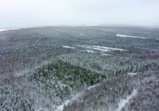 Ferme à vendre - 53-55 Ch. du Mont-Dostie, Audet, G0Y 1A0