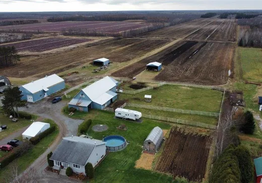 Farm for sale - 758 Ch. de l'Église, Lemieux, G0X1S0