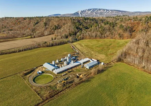 Ferme à vendre - 855 Av. Royale, Petite-Riviere-St-François, G0A3X0
