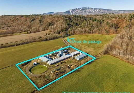 Ferme à vendre - 855 Av. Royale, Petite-Riviere-St-François, G0A 3X0