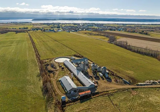 Ferme à vendre - 855 Av. Royale, Petite-Riviere-St-François, G0A 3X0
