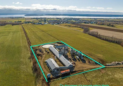 Ferme à vendre - 855 Av. Royale, Petite-Riviere-St-François, G0A 3X0