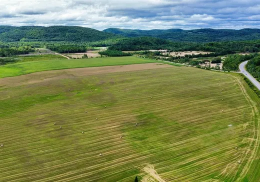 Ferme à vendre - 397 Route 315, Papineauville, J0V 1E0