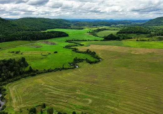Ferme à vendre - 397 Route 315, Papineauville, J0V 1E0