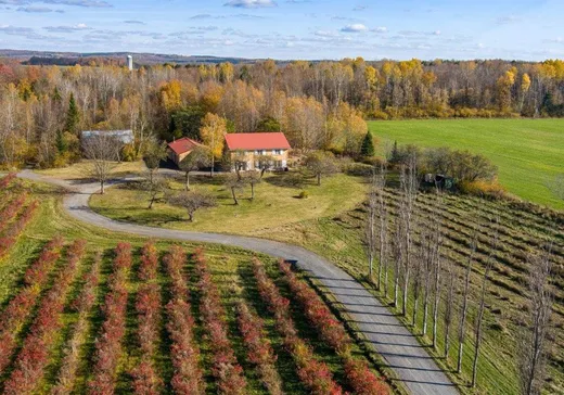 Farm for Sale - 1540 Route 143, Hatley, J0B 4B0