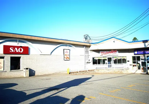 Propriété commerciale à vendre - 57 5e Avenue, Windsor, J1S 1V5