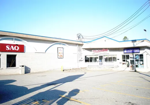 Propriété commerciale à vendre - 57 5e Avenue, Windsor, J1S 1V5