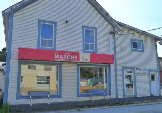 Commercial Property for Sale - 16 Rue Water, Danville, J0A 1A0