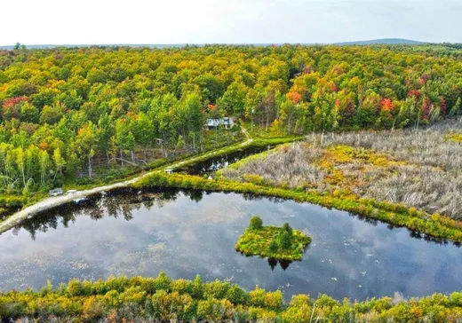Farm for Sale - 60 Ch. Boisvert, Danville, J0A 1A0