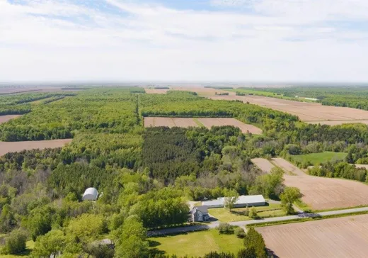 Ferme à vendre - 593 Rg Salvail S., Saint-Jude, J0H1P0