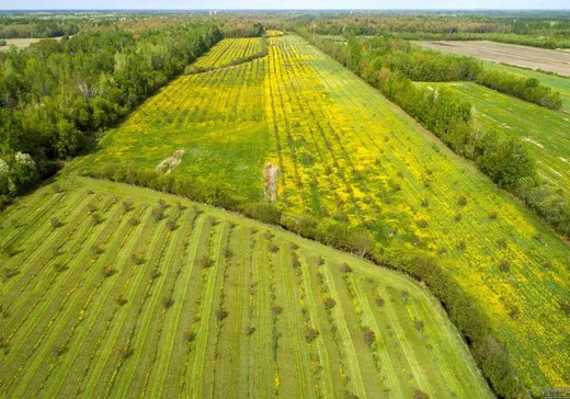 Ferme à vendre - 530 Route 261, Saint-Sylvère, G0Z 1H0