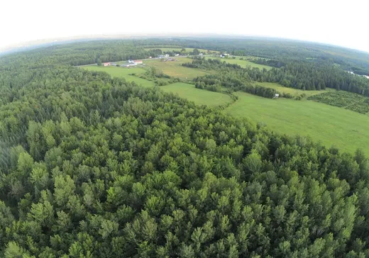 Farm for Sale - 1365 Route 112 O., Weedon, J0B 3J0