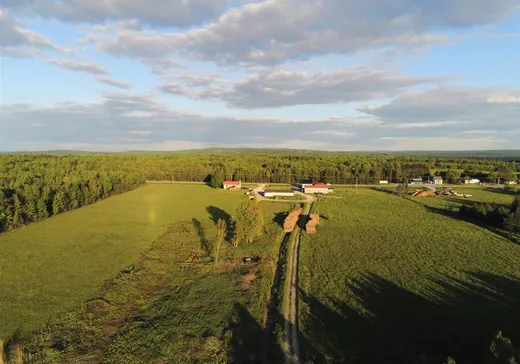 Farm for Sale - 1365 Route 112 O., Weedon, J0B 3J0