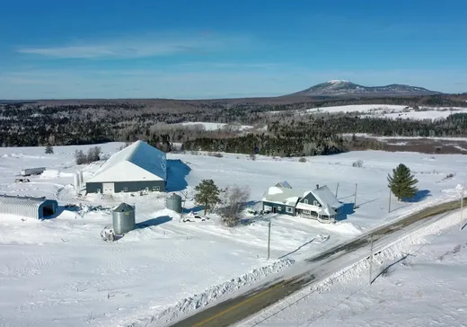 Farm for sale - 338 Rue Miquelon, Sainte-camille, J0A1G0