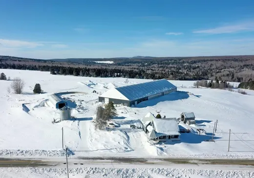 Farm for Sale - 338 Rue Miquelon, Sainte-camille, J0A 1G0