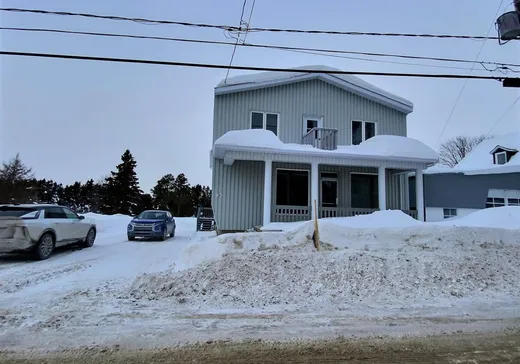 Propriété commerciale à vendre - 150 Rue Jérémie-Beaulieu, Sainte-Françoise, G0L 3B0